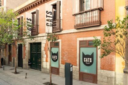 Cats Hostel Madrid Sol - image 14