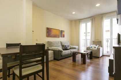 Apartment in Madrid 