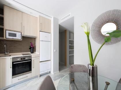 Madrid Rental Flats - image 10