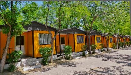 Bungalows Alpha - image 6