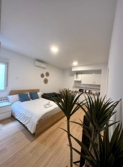 Central Loft 3 pax a 50 metros de la Plaza Mayor